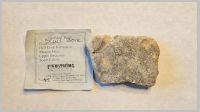 Triceratops Skull Bone.jpg